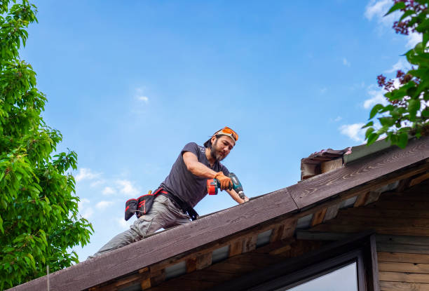 Best Solar Panel Roofing Installation  in Henagar, AL